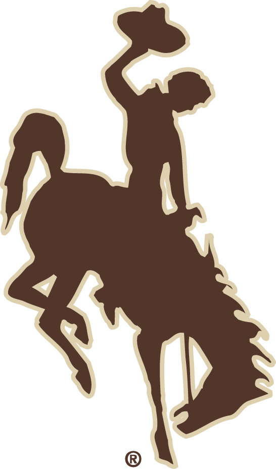 Wyoming Cowboys 2006-2012 Alternate Logo diy iron on heat transfer